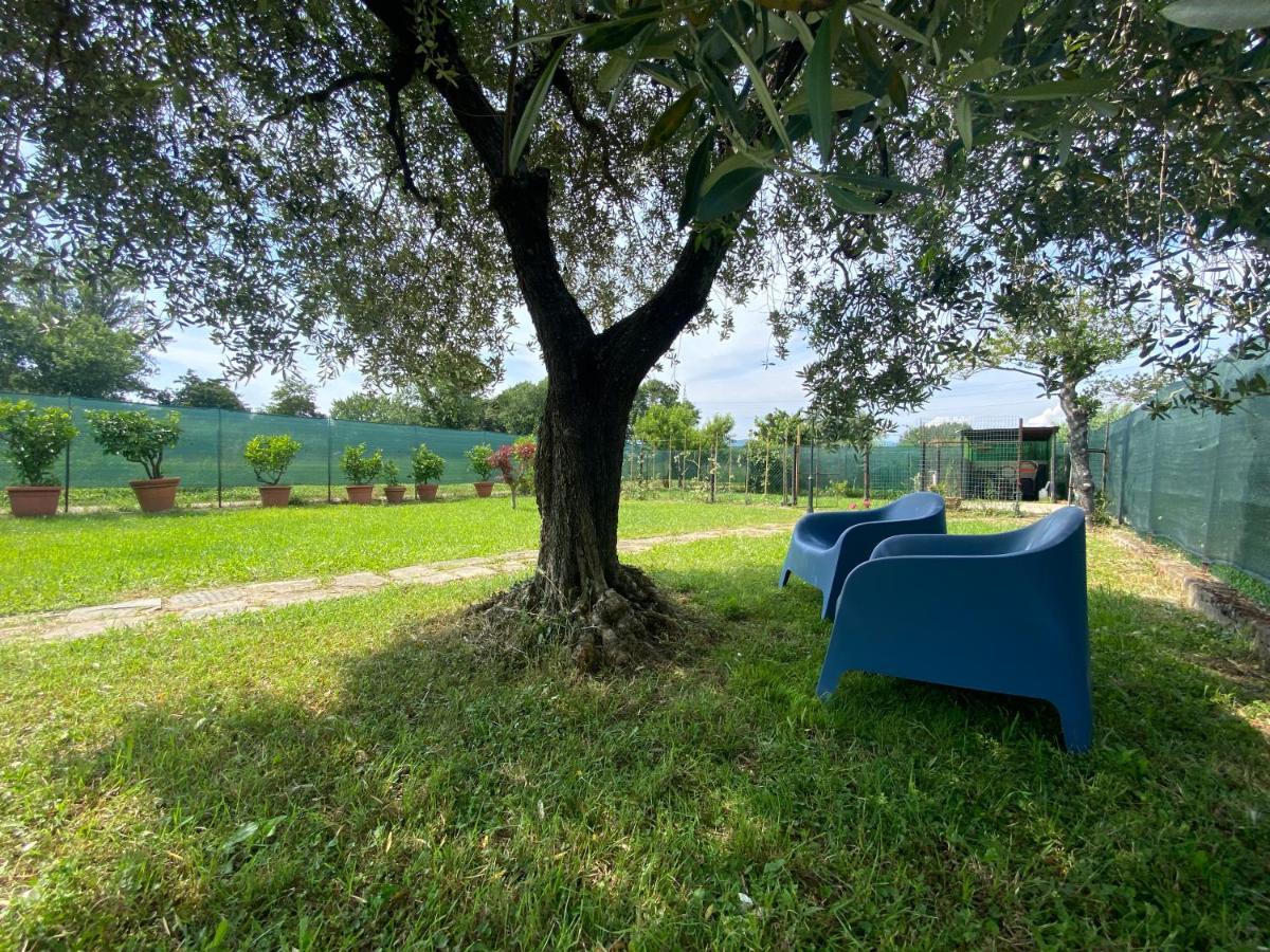 Casa Marcobando Villa Lucca Exterior photo